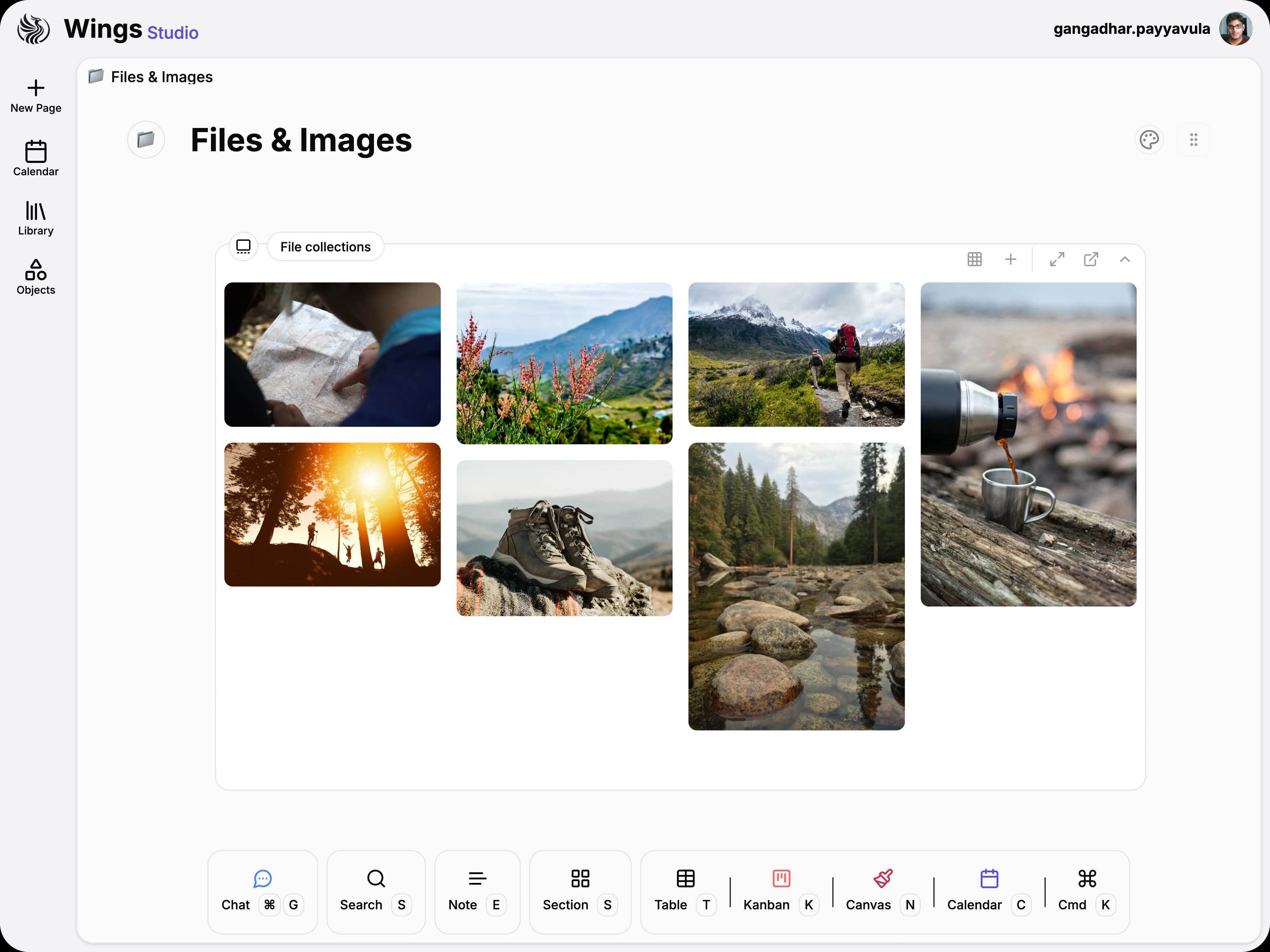 File collection grid of image thumbnails and mixed media files